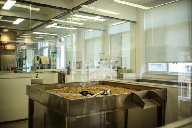 不走寻常路的国际化县城，关心一日三餐，更关心咖啡和汇率