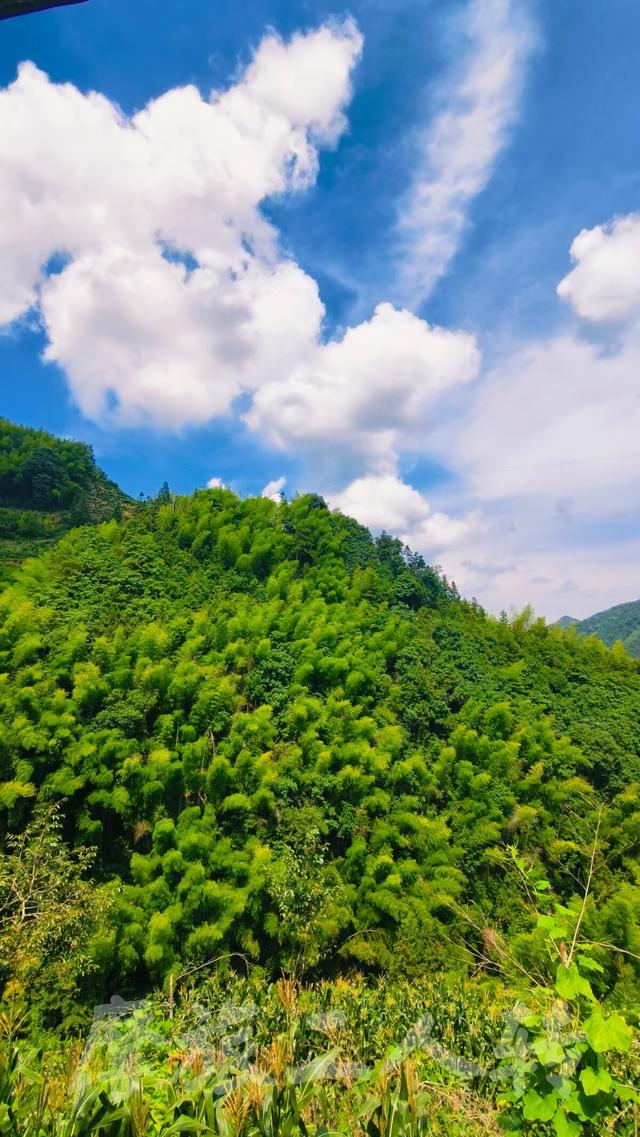 皖浙摩旅二人转——谷丰村篇