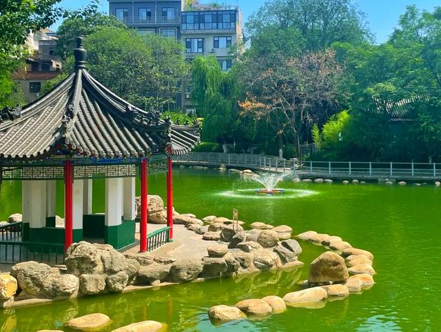 莲湖公园，太低调！