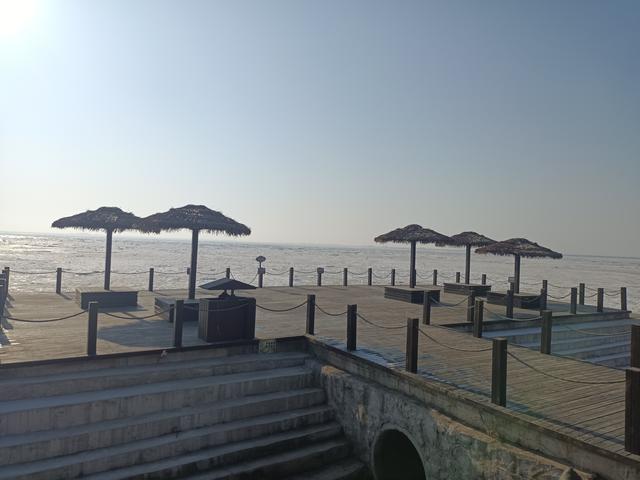 敬我们同学情谊: 聚是一团火，散是满天星