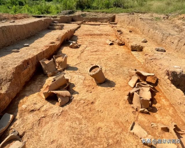 2025高考爆冷启示录：这些专业再挂名校招牌别碰，志愿填报必看！