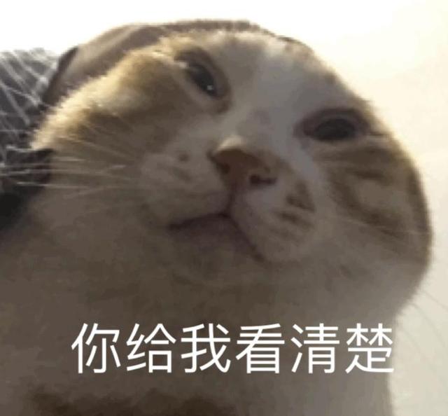 出来抓精灵，讲究的是人情世故