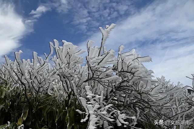 不用怀疑坐标！湖南隐藏的“冰雪仙境”正在上线，速来打卡