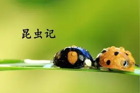 初中语文12本必读名著超全知识梳理（收藏）图片