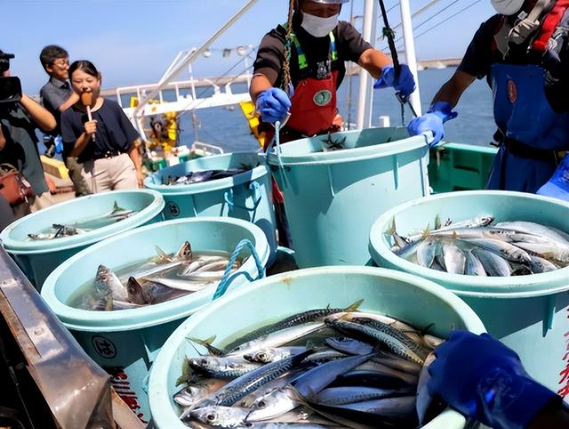 对日本“反制”开始！美俄法没让中国失望，五常只剩英国没表态