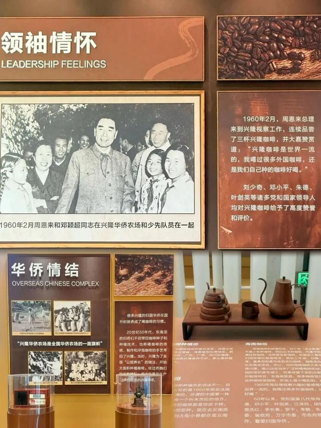 春节游万宁兴隆｜解锁热带归侨的暖冬年味！