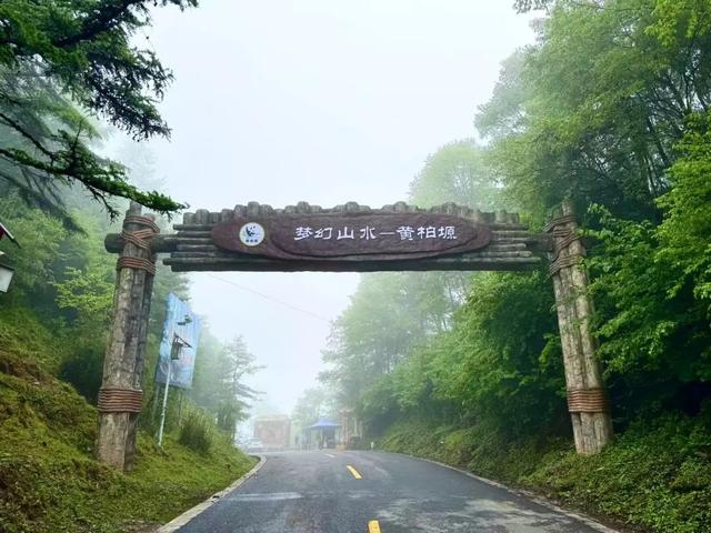 入伏了！黄柏塬带你走进19℃的夏天，云雾缭绕的山野避暑秘境