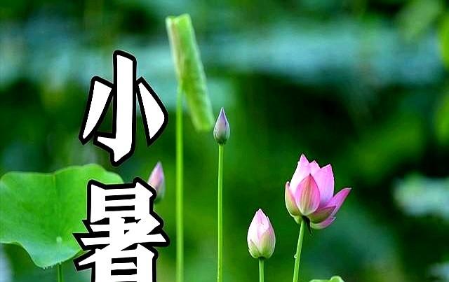 “早入伏凉得早。晚入伏热得跳”，7月20号入伏，入伏是早是晚？