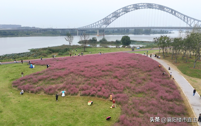 330+个，超2180万方！襄阳的公园，真的逛不完！