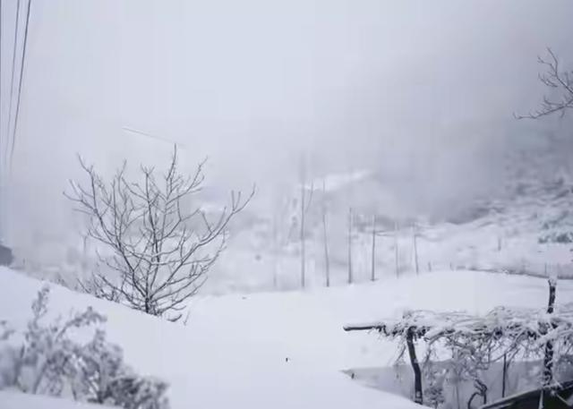 明日大寒，“ 公大寒，春节脱衣；母大寒	，春节冷哭”。今年大寒呢