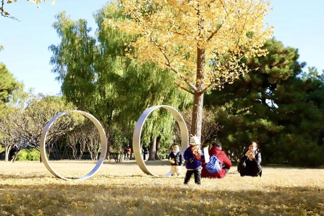 莲花池公园满目鎏金，这个周末等您来赏→