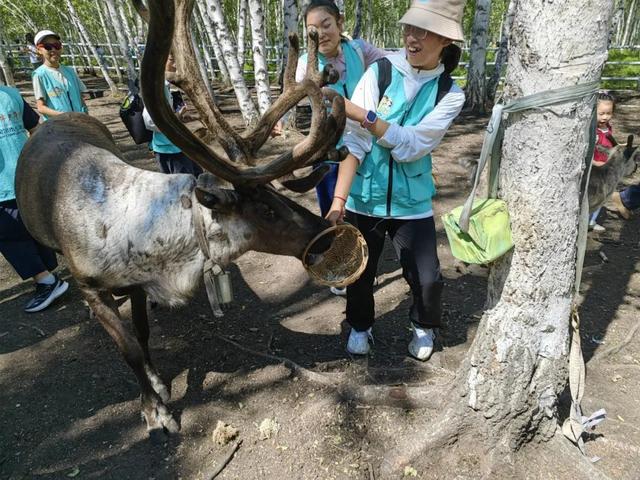 “奇妙自然，京蒙少年草原行”呼伦贝尔生态与民族文化研学活动圆满闭营
