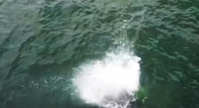 钱再多有何用？28岁王一博失手落海，给内娱明星们敲响了警钟