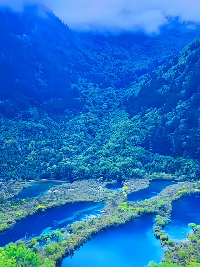 崩溃！在九寨沟，我的眼睛和相机同时“失业”了