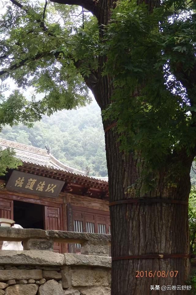 孔林关林松，揖向轩辕柏