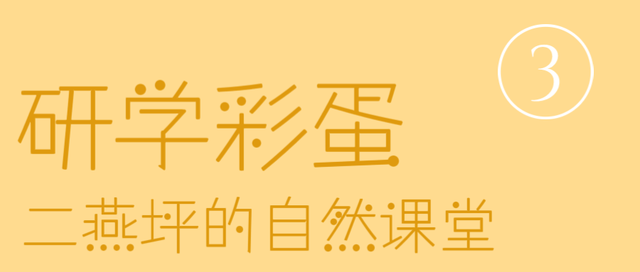 走，到屏山老君山赏秋去→