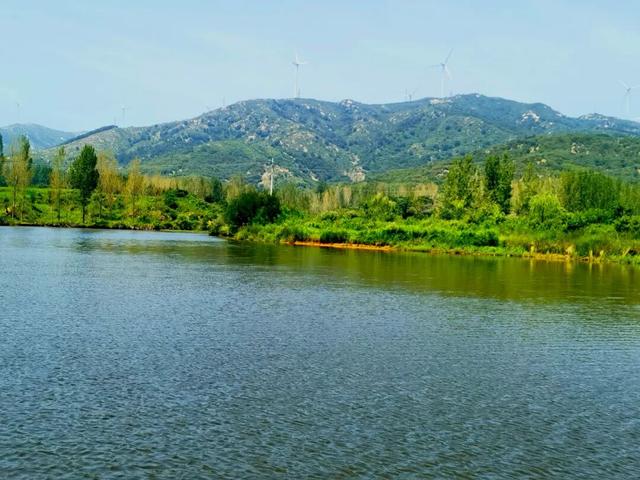 天中盆景！泌阳小黄山的奇石与原生态美景