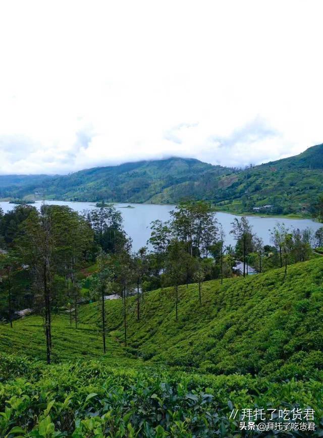 斯里兰卡深山｜女王同款绿野仙踪下午茶