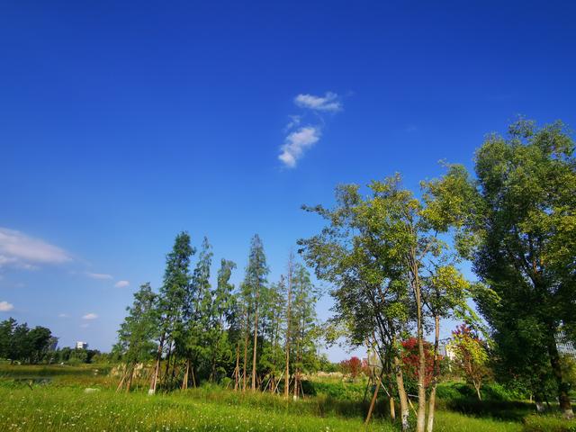 手机被1.4万张照片撑爆，我才明白这个道理