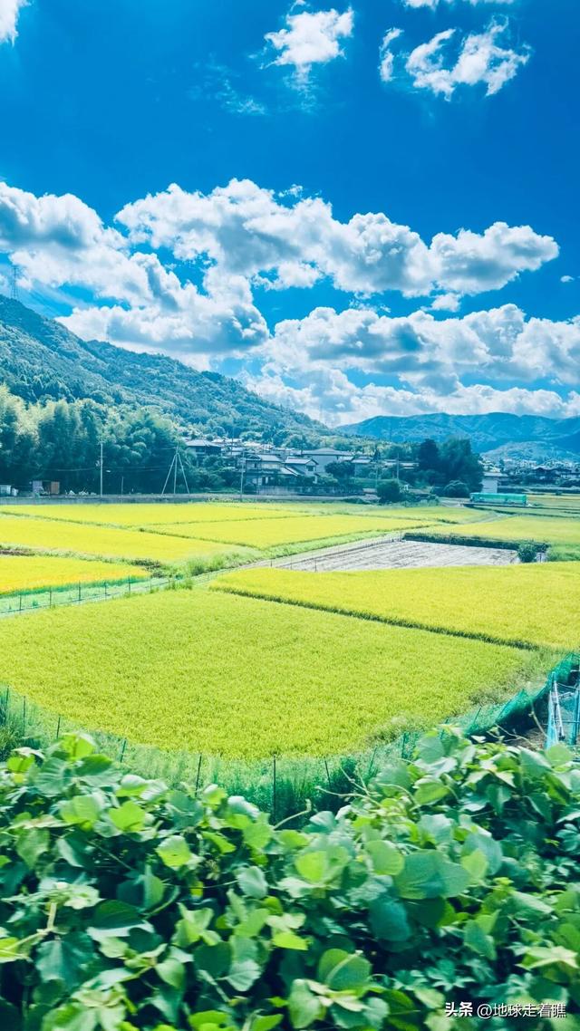 在京都最热的天，我抢到了那节“没顶”的5号车厢