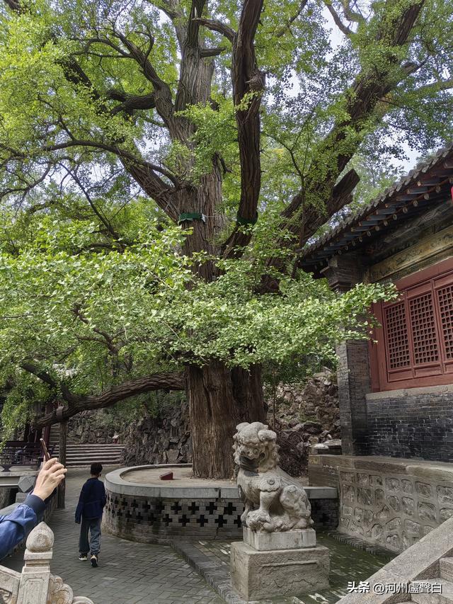 晋祠