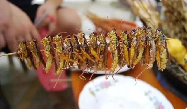 每年吃掉三千只蚊子，8年才能长大，却被人类作为美食大量捕捉