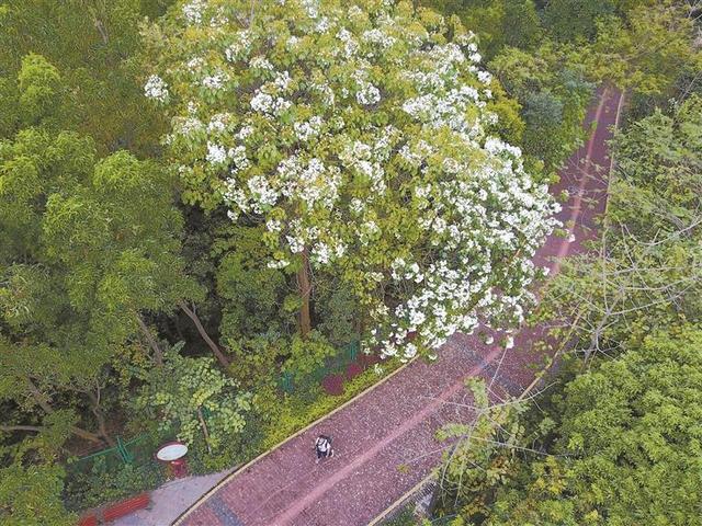 来大浪，找到属于自己的快乐星球