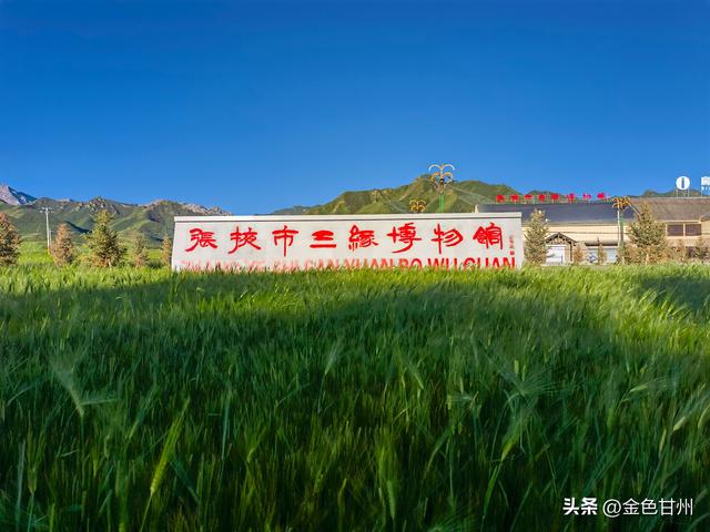 朱宗元｜祁连山下的金色花园