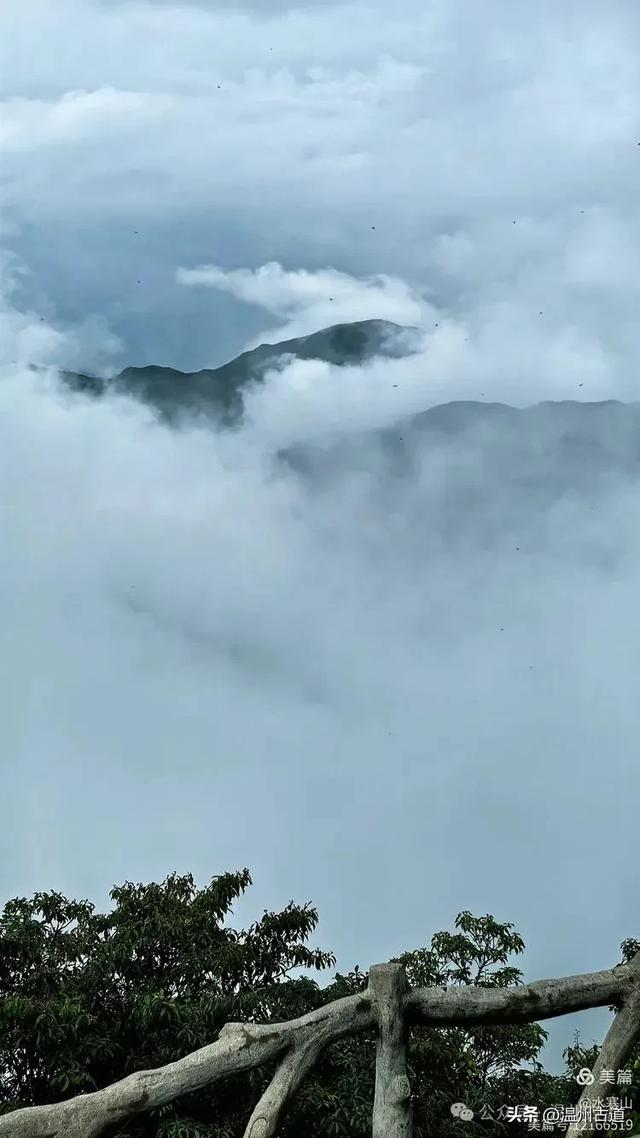“浙南之巅”竟藏着以奇石景观著称的微缩版三清山，目前免费玩！