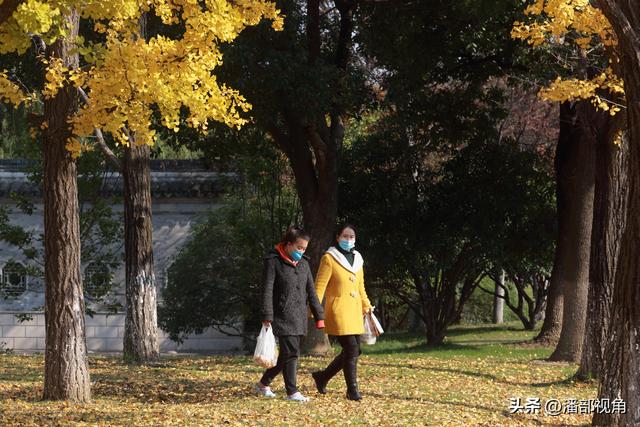 无锡吴都路，金色的世界