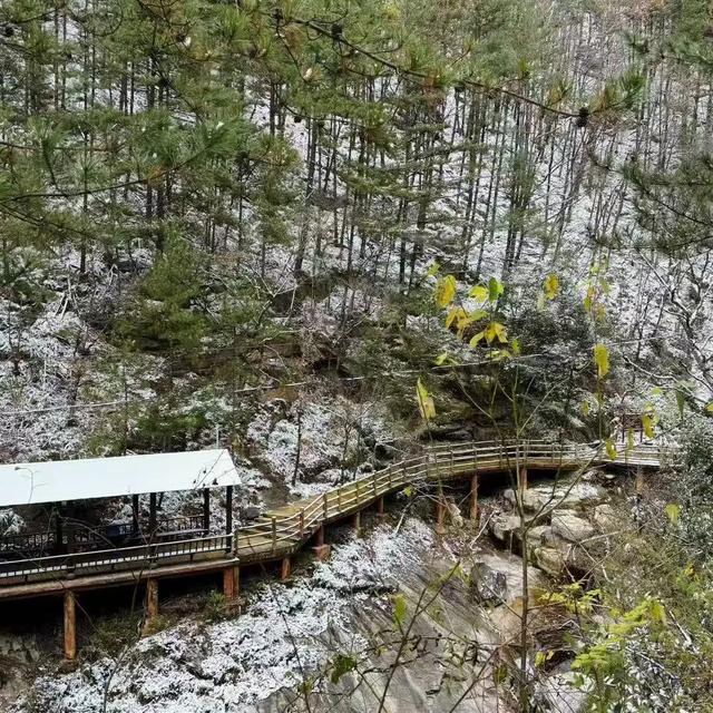 汉中各大景区银装素裹!快来共赴2025年第一场冰雪之约 →