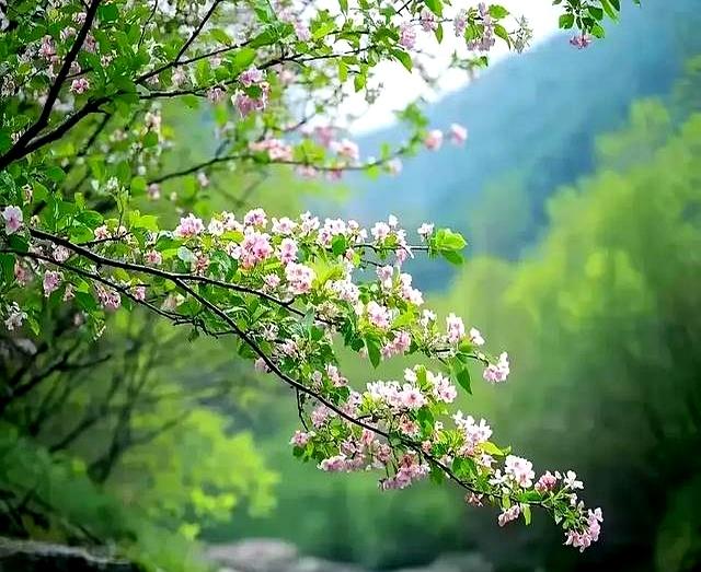 “钱不借二	，礼不随三，情不给四”：七十岁后，你就明白了