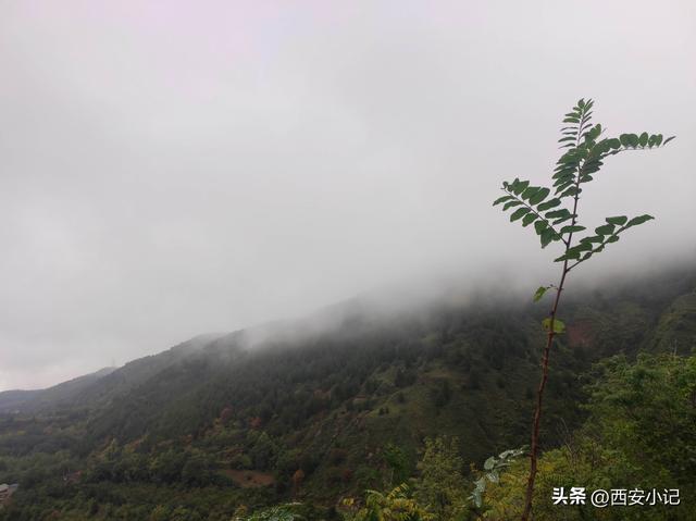 藏在秦岭旁的红土地，美成了人间仙境，是西安人周边游的好去处