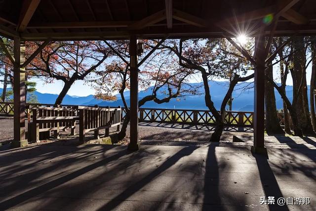 阿里山百年蒸汽桧木火车， 季节限定赏枫列车、票价信息一次看！
