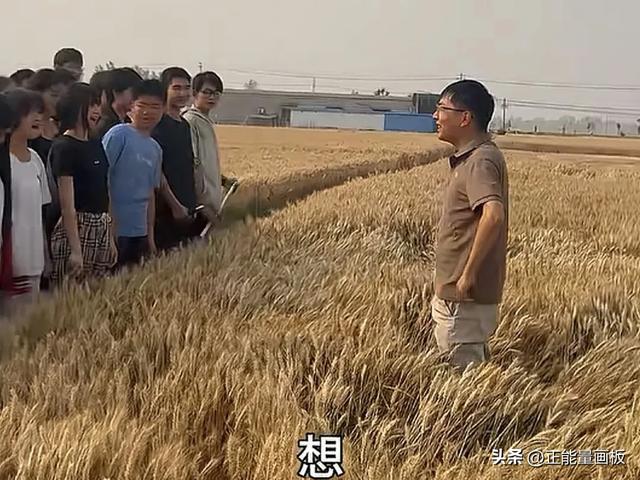 河南一90后校长，为了锻炼学生，带自家割麦子，多好的校长!