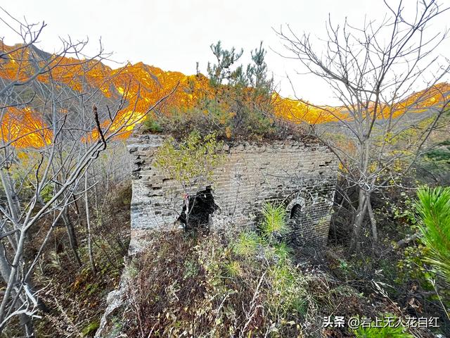 长城徒步之94：密云烧香峪、五虎门、黑谷关长城秋色