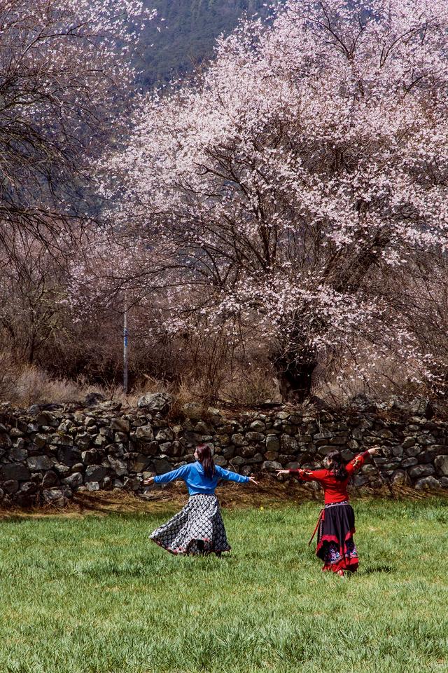 最低海拔155米，她是最易抵达的西藏城市，夏天去最舒服、最合适