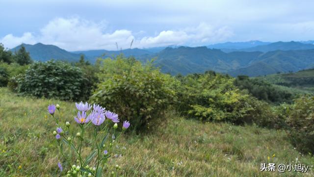 雨后徒步辽阳梨花峪，云雾缭绕｜木栈道、山地草甸、网红秋千