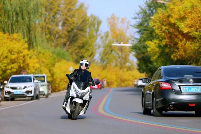 陕州黄河廊道：秋染长堤入画来