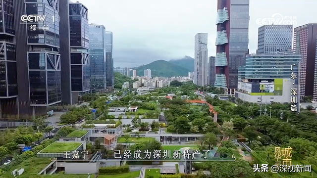 央视《城市风华录》走进深圳，解锁深圳N种“奇迹”的打开方式