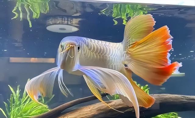 不查不知道一查吓一跳，坐拥北京60亩马场的于谦，私下到底有多壕