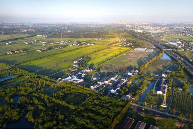 初冬逛沪郊！奉贤、崇明限时优惠来啦