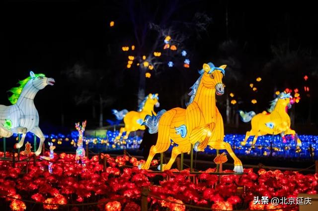 世园“天宫灯会”闪耀延庆