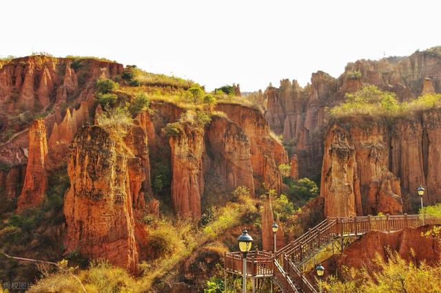 12月-1月适合去的7个旅行地，鲜花雪景，梯田光影，同在一个季节