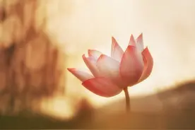 老年人网名昵称，好听简单，用十年不过时，值得您拥有！图片