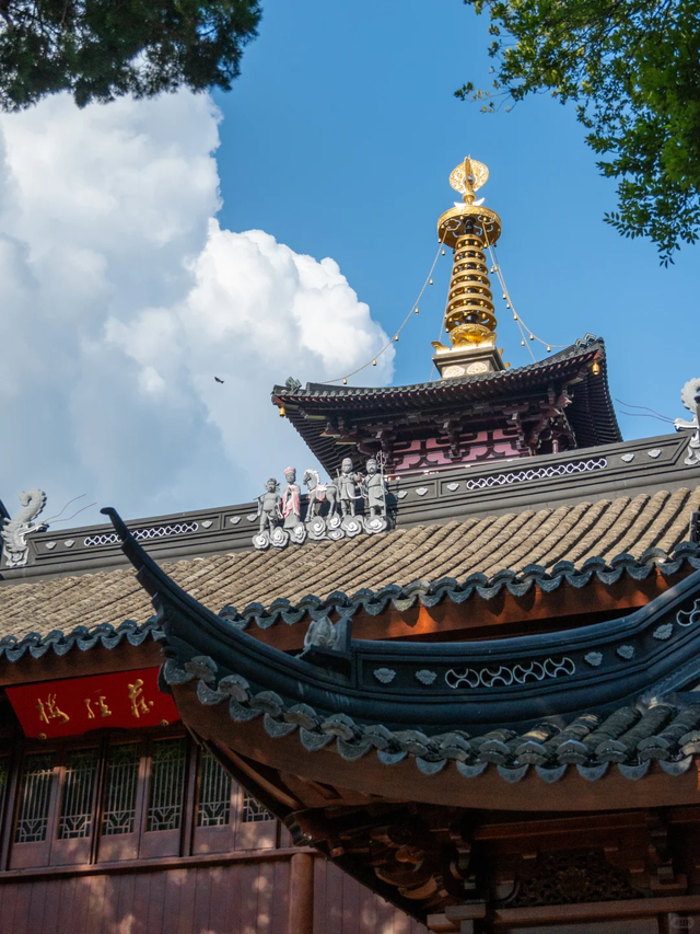 可当天往返！上海坐至苏州，最快30分钟直达！景美又好玩！