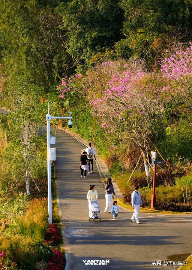 发现深圳“阿勒泰”这些机位的人，真是天才！