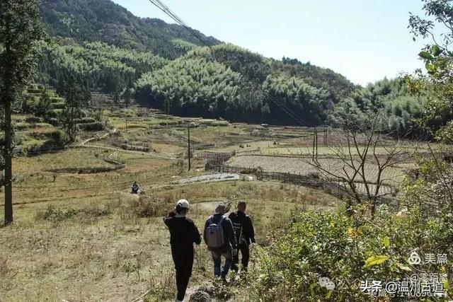 醉美林坑晒秋!这条连接两个避世古村落的省一级古道,周末可走起