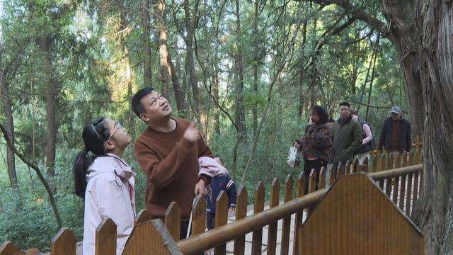 秋假开启 四川剑门关迎来亲子游高峰