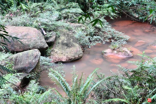赤水四洞沟瀑布
